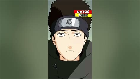 los ojos de shino aburame|shino aburame facts.